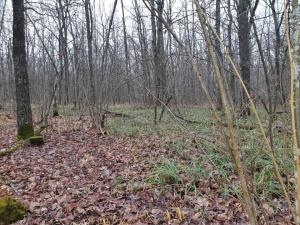 WhatsApp Image 2025-02-04 at 10.27.22.jpeg