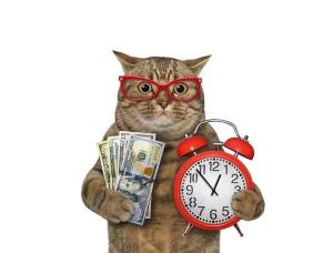 depositphotos_672084832-stock-photo-beige-cat-glasses-holding-alarm.thumb.jpg.cef379205b8b9e5486263f72fa601f24.jpg