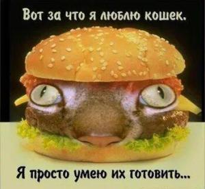 i - 2025-02-04T124003.924.jpeg