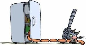 i - 2025-02-24T022008.563.jpeg