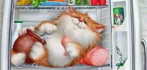 i - 2025-02-24T022015.576.jpeg