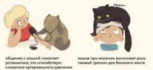 i - 2025-02-24T022728.575.jpeg