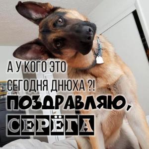 prikolnaya-kartinka-serega-s-dnem-rozhdeniya.thumb.jpg.bcf1556be606a8045e677ffd5aa3ba6e.jpg