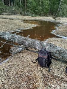 Изображение WhatsApp 2025-03-15 в 21.29.39_21af5048.jpg