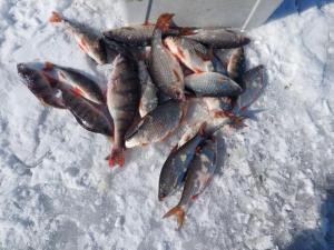 Изображение WhatsApp 2025-03-20 в 12.58.55_503c7585.jpg