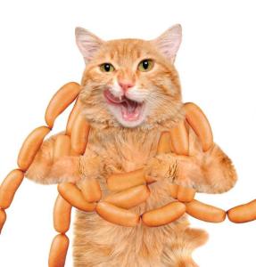 cat-sausages-white-background-red-80307397.jpg