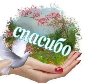 i - 2025-03-08T182126.788.jpeg