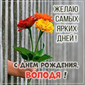 otkrytki-s-dnem-rozhdeniya-vladimir-10-width360.jpg