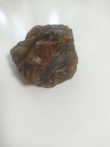 photo_2025-03-20_08-01-40 (4).jpg