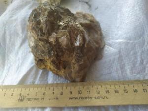 photo_2025-03-20_08-01-42 (3).jpg