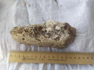 photo_2025-03-20_08-01-42 (5).jpg