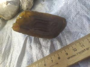 photo_2025-03-20_08-01-43 (3).jpg