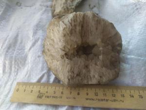 photo_2025-03-20_08-01-43 (6).jpg