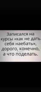 scale_1200 (31).jpeg