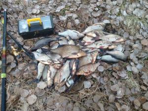 рыбалка 2.jpg