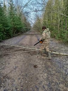 Изображение WhatsApp 2025-03-29 в 22.42.14_57cf47fc.jpg