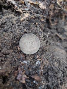 Изображение WhatsApp 2025-04-03 в 14.21.26_22d7bfd2.jpg