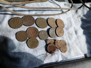 Изображение WhatsApp 2025-04-03 в 14.21.26_db503555.jpg