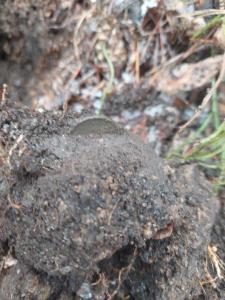 Изображение WhatsApp 2025-04-04 в 12.12.01_5e68dd10.jpg