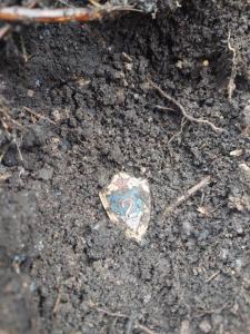 Изображение WhatsApp 2025-04-04 в 12.12.01_68d511da.jpg