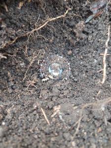 Изображение WhatsApp 2025-04-04 в 12.12.01_eb77b4d3.jpg