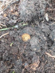 Изображение WhatsApp 2025-04-14 в 13.39.12_42fdaaa8.jpg