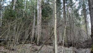 WhatsApp Image 2025-03-29 at 20.10.01 (2).jpeg