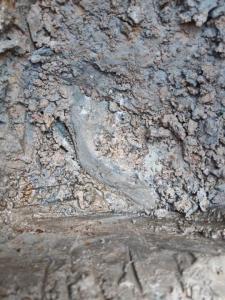 WhatsApp Image 2025-04-04 at 10.20.16.jpeg