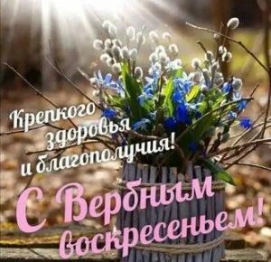 i - 2025-04-13T085028.081.jpeg