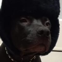 Бармалей_воды_Налей