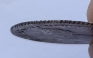 2025-05-01 18-48-26.JPG