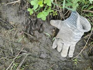 IMG_20250425_085954 (Medium).jpg