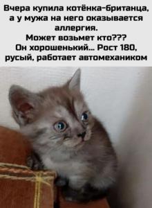 Screenshot_20250505_150428_Yandex Start.jpg