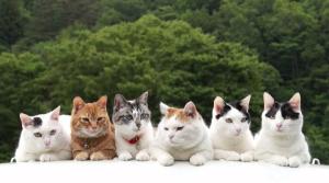 Screenshot_20250521_192319_Yandex Start.jpg