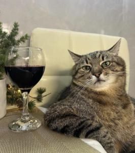 Screenshot_20250522_184445_Yandex Start.jpg