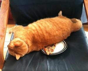 Screenshot_20250522_184643_Yandex Start.jpg