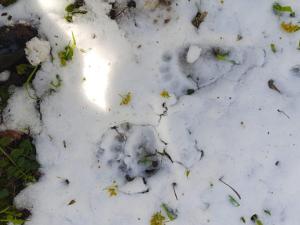 WhatsApp Image 2025-05-04 at 21.58.12.jpeg