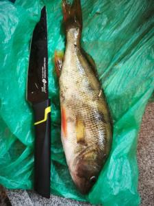 WhatsApp Image 2025-05-13 at 13.47.31.jpeg