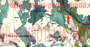 Менде в цвете что за точки..png