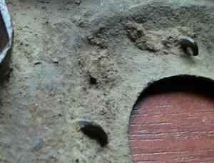 звезда и бутыл 003.JPG