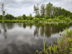 WhatsApp Image 2025-06-01 at 13.20.54.jpeg