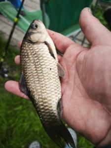 WhatsApp Image 2025-06-01 at 15.22.43.jpeg