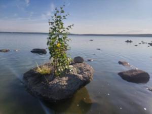 Изображение WhatsApp 2025-07-17 в 06.33.56_6d1ba109.jpg