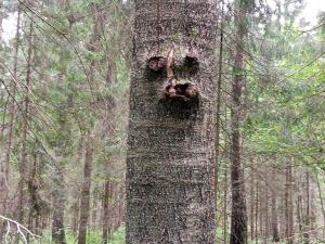 WhatsApp Image 2025-07-11 at 00.54.29.jpeg