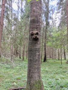 WhatsApp Image 2025-07-11 at 00.54.30.jpeg