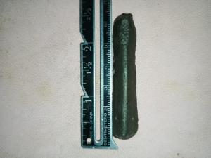 WhatsApp Image 2025-07-29 at 18.22.38.jpeg