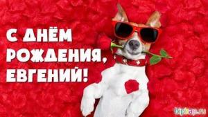 i - 2025-07-22T144135.271.jpeg