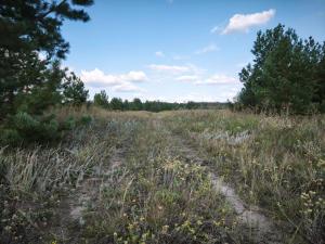 WhatsApp Image 2025-08-11 at 08.14.14.jpeg