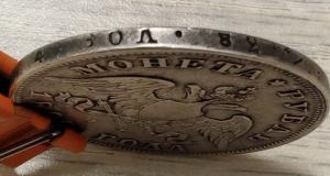 5363802919184497798 (4).jpg