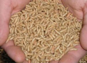 Screenshot_20250923_111206_Yandex Start.jpg